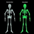 thumbnail image 4 of Halloween Luminous Skull Decoration, Halloween Skeleton Luminous Decorations Hanging Glow-in-The-Dark Skeleton for Halloween Indoor Outdoor Yard Garden Horrible Decorations, 1 Pack, 4 of 6