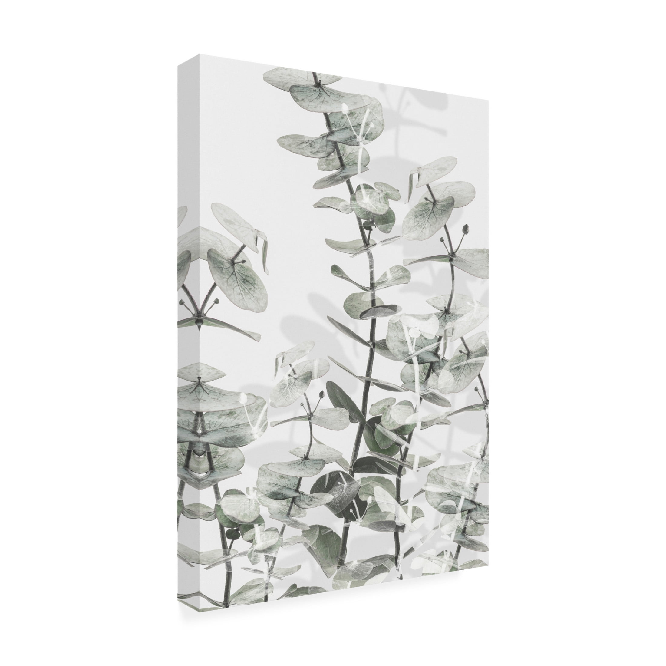 Pictufy Studio III 'Eucalyptus 1' Canvas Art - 30 x 47 Inches