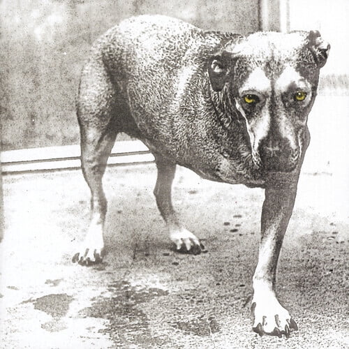 Alice in Chains - Alice In Chains - Music & Performance - Vinyl