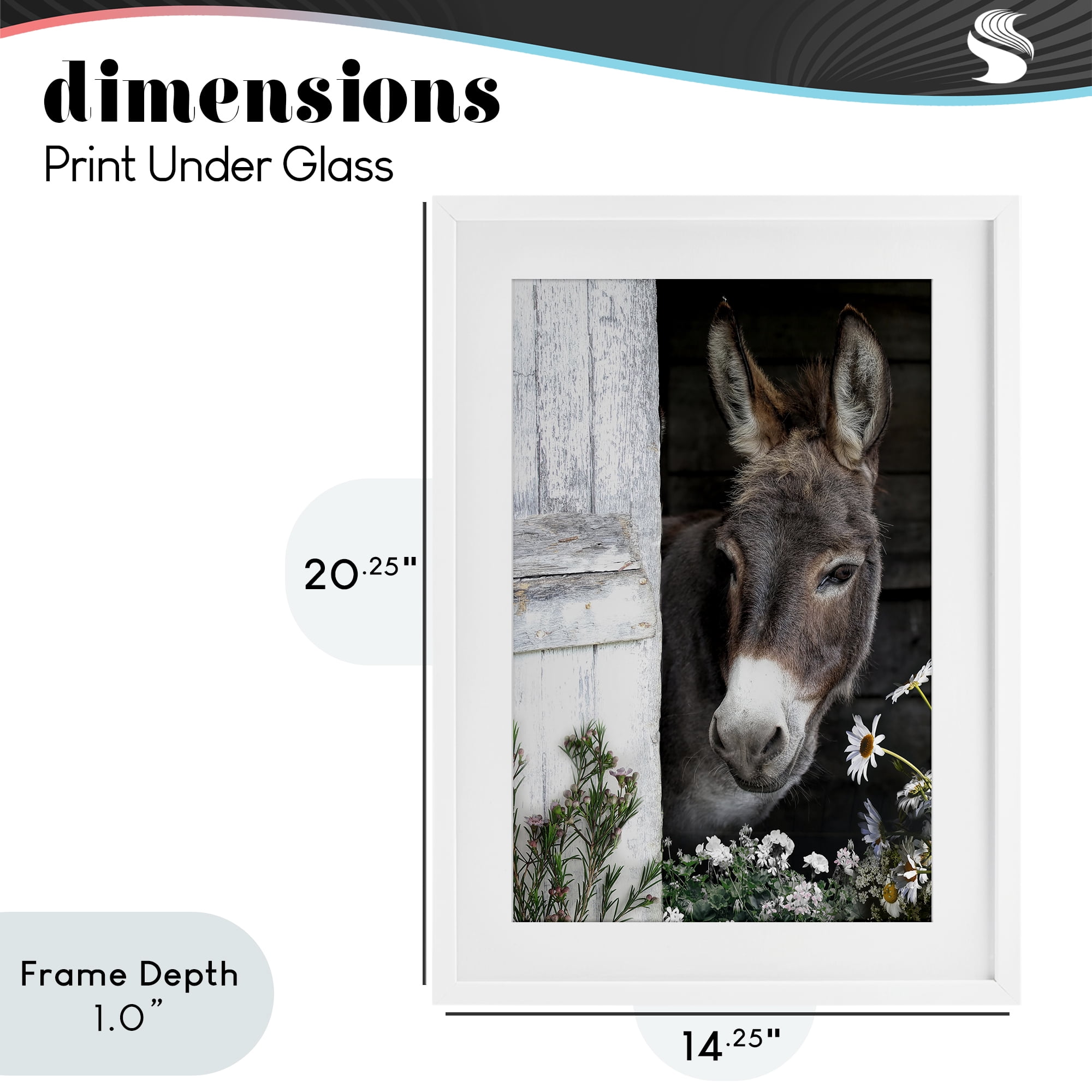 Stupell Industries Gentle Donkey Peering from Barn White Framed Print Under Glass, design by CAD Designs