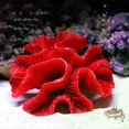 thumbnail image 1 of Ornement d'Aquarium Récif de Corail Rouge Artificiel Réservoir de Poissons Résine Paysage, 1 of 3