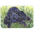 thumbnail image 1 of Carolines Treasures SS8872CMT 20 x 30 in. Newfoundland Kitchen Or Bath Mat, 1 of 1