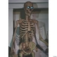 thumbnail image 2 of Seasonal Visions Animated Towering Skeleton with Projection Eyes Halloween Decoration - 8 ft, 2 of 5
