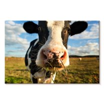 Elephant Stock Cow Selfie Wall Art - Horizontal Canvas Wall Art - Living Room Wall Decor - Animal Canvas - Black And Beige Decor - 12" x 8"