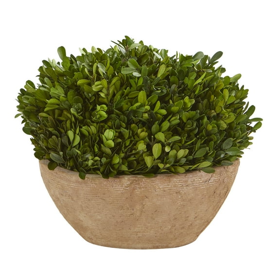 Nearly Natural 12" Preserved Natural Boxwood Artificial Plant in Oval Planter, Green