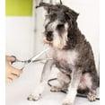 thumbnail image 6 of DISEN 7.5" Curved Dog Grooming Scissors with Safety Round Tips, Lightweight Professional Pet Grooming Shears Stainless Steel for Dogs Cats Pets, 6 of 6