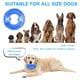 thumbnail image 1 of Fiudx Juguete para Mascotas, Masticable de Goma Tpr, Juego Interactivo, Limpieza Dental y Control de Placa, Absorción de Agua Fría, Alivio En Verano, Apto para Perros Pequeños, Diseño Duradero, Jugue, 1 of 7