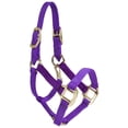 thumbnail image 2 of Intrepid International Miniature Horse Nylon Halter-Large.Mini Purple, 2 of 3