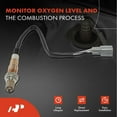 thumbnail image 2 of A-Premium O2 Oxygen Sensor Replacement for Toyota 4Runner 2003-2004 V6 4.0L 1GRFE Downstream Left or Right, 2 of 9