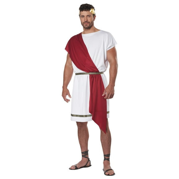 California Costumes, Party Toga, Adult Costume, Large/X-Large