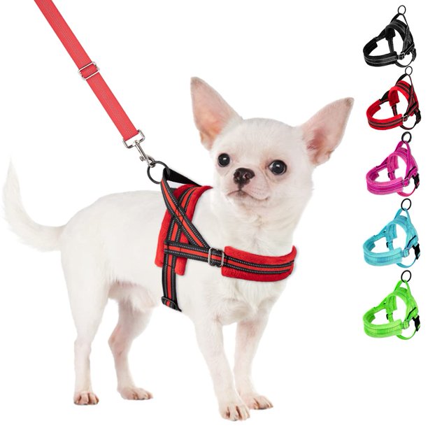 Set de arnés y correa para perros SlowTon, sin tirones, para perros pequeños, color rojo