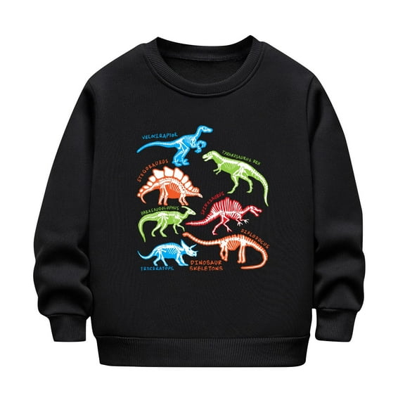 Rohuuque Kids Casual Pullover,Fashion Cartoon Print Hoodless Sweatshirt With Long Sleeve Tops 5 Years Black