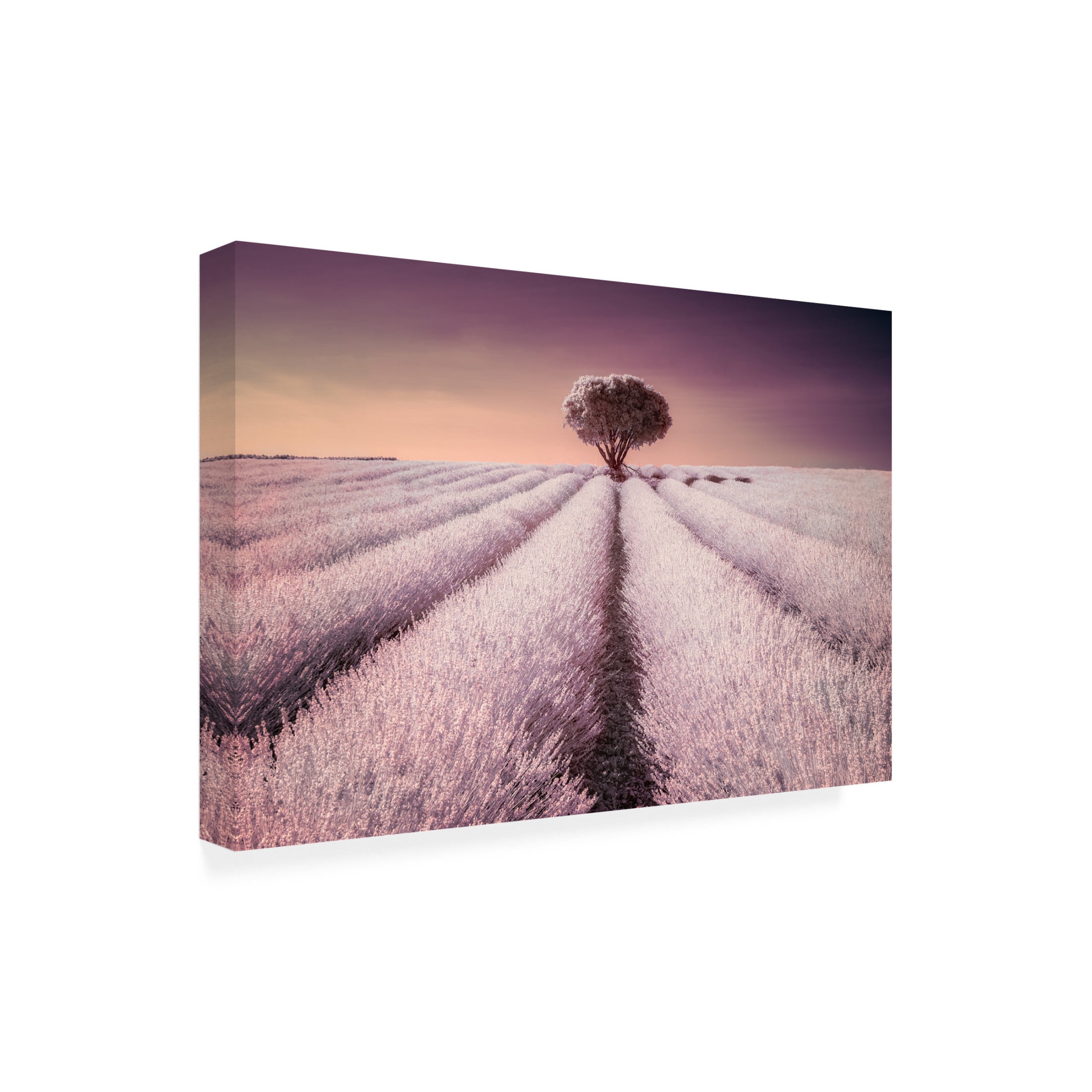 Trademark Fine Art Jesus Concepcion Alvarado El Solitario Canvas Wall Art