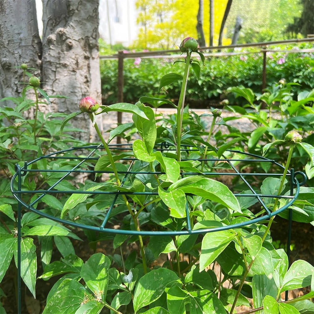 NOGIS 2 Pack Round Peony Cages and Supports Grow Through Grid Plant Brace,16 inch Heigh Plant Support Stake for Small Plant Flower Vegetable (12 x 16 Inch)