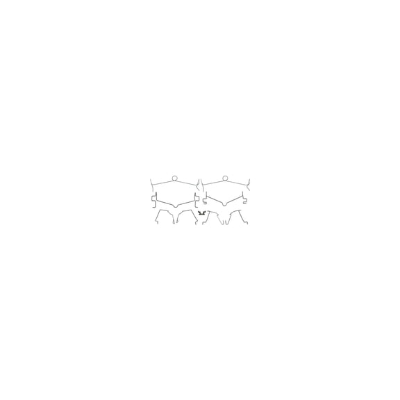 Raybestos R-Line Disc Brake Hardware Kit, H18097A