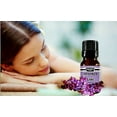 thumbnail image 3 of Lilac Fragrance Oil Premium Grade Scented Perfume Oil 10 mL by Sponix, 3 of 6