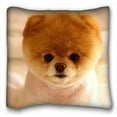 thumbnail image 1 of RYLABLUE Boo The Dog Pet Dog Pillow Cases Covers Standard Size Pillowcase Size 20x20 Inches Two Side Print, 1 of 1