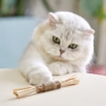 thumbnail image 4 of SPRING PARK Catnip Toys, Cat Toys for Indoor Cats, Kitten Teething Chew Toy for Aggressive chewers, Catnip Chew Sticks Calm Cat Anxiety and Stress,3 Packs, 4 of 7