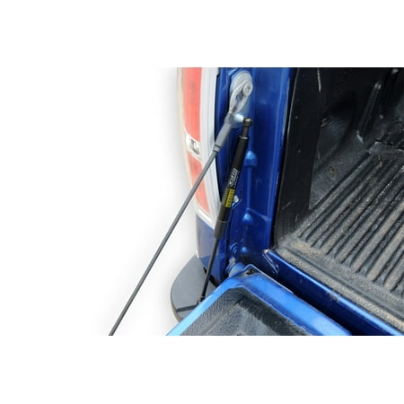 Dee Zee Parts - Dee Zee DZ 43200 Tailgate Assist - fits 2004 - 2014 Ford F150