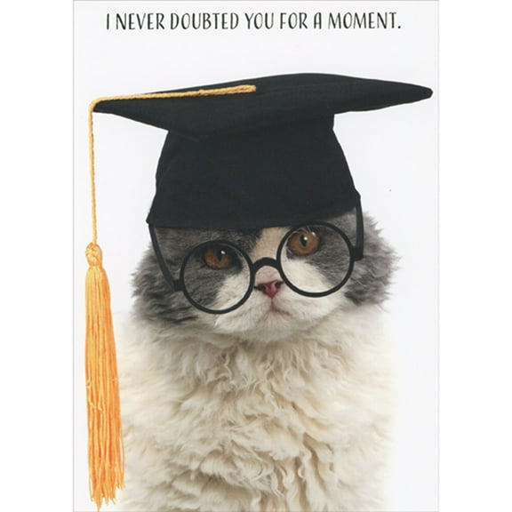 RSVP I Never Doubted You for a Moment: Kitten with Glasses and Grad Cap Graduation Congratulations Card