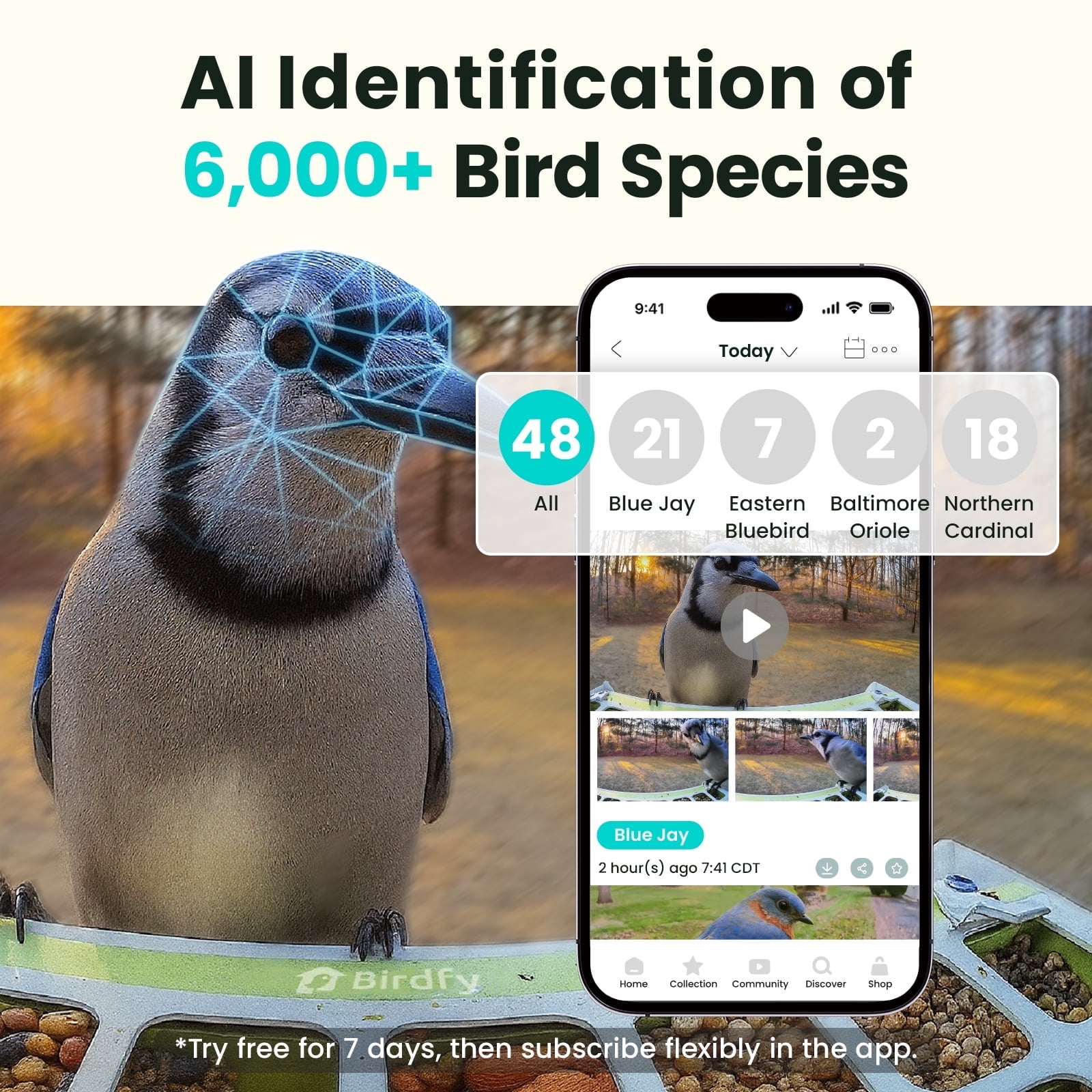 Birdfy Smart Bird Feeder with Camera, AI Bird Identification, Auto Visits & Notifications, Free App, Metal Build – Holds Up to 2.5L Bird Seed, Ideal Bird Lover Gift