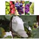 thumbnail image 3 of 100 piezas de bolsa de protección para frutas y uvas de jardín, bolsa de malla para control de plagas de flores, bolsa de barrera de red de aislamiento de insectos (180 * 200 mm, blanco), 3 of 5