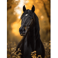 thumbnail image 1 of Qisvanset 12x16 Inch Black Stallion Horse Canvas Wall Art, Wild Mustang Western Ranch Equestrian Home Decor, 1 of 8