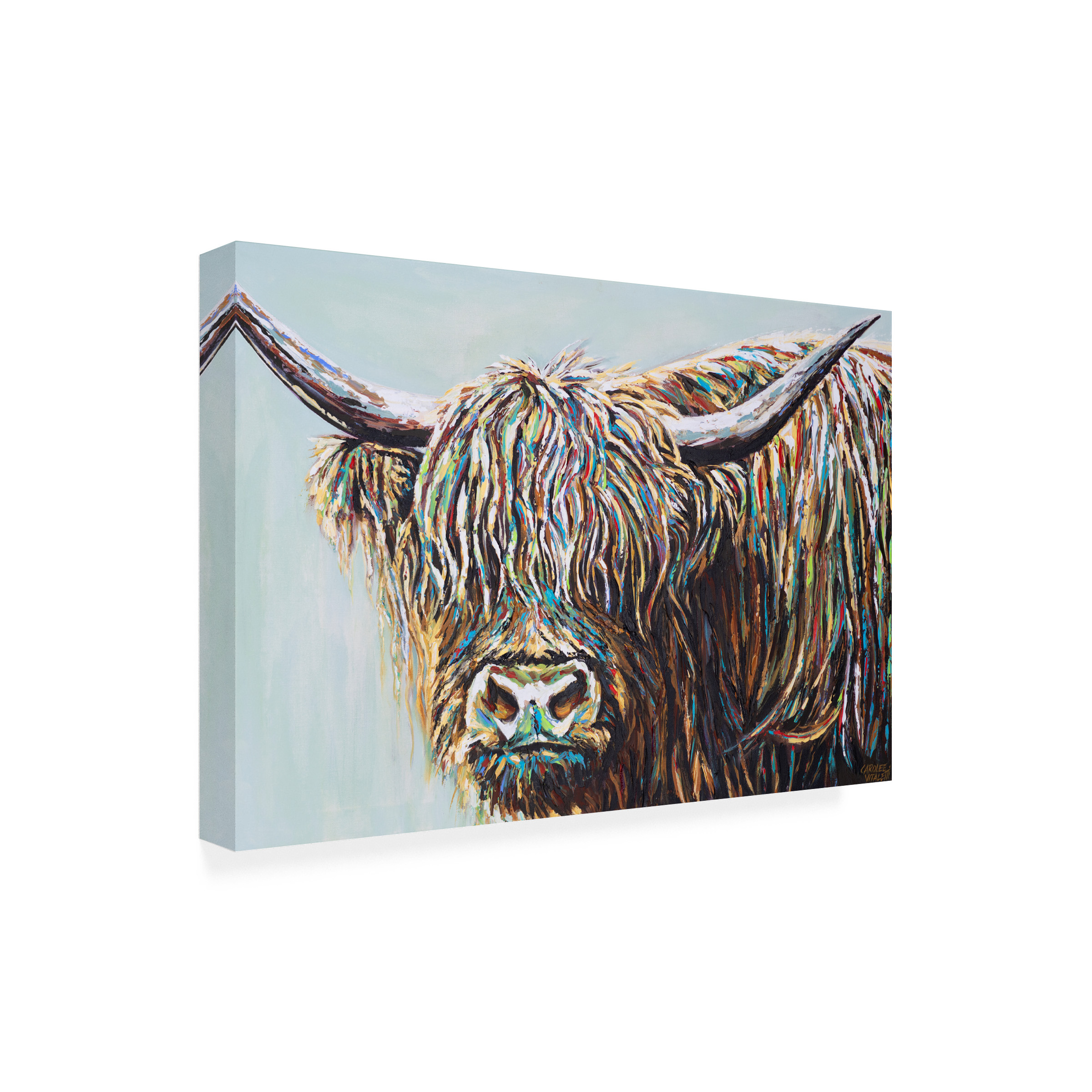 Carolee Vitaletti 'Woolly Highland I' Canvas Art