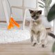 thumbnail image 5 of Repuestos de varita de plumas Unique Bargains de 2 piezas para interacción con mascotas, accesorios de recarga para varitas de gato para gatos de interior y exterior en naranja y blanco, 5 of 7