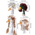thumbnail image 2 of XQWJWLA 4 Pcs Porch Goose Wigs for 17 Inch and 23 Inch Statue, Cute Lawn Goose Statue Braid Wig, Porch Goose Outfits for Outdoor Garden Patio Yard Goosey Decoration(#A), 2 of 6