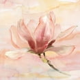 thumbnail image 2 of Nan 12x12 White Modern Wood Framed Museum Art Print Titled - Dreamy Magnolia II, 2 of 4