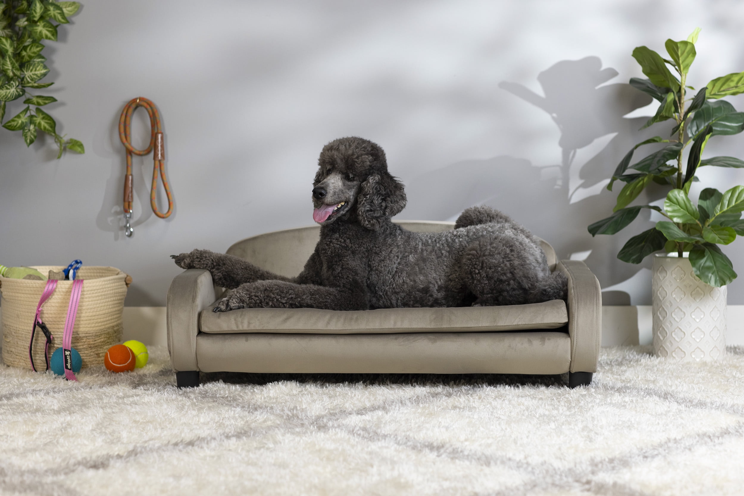 Paws & Purrs Multi-Cat Sofa Bed – 41.5″ Wide Elevated Pet Couch with 3″ Foam Mattress, Removable Machine-Washable Cover – Stylish Indoor Pet Furniture for Two or More Cats and Dogs, Ash