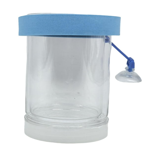 Caja de aislamiento de peces flotantes de la cría de pescado Separador de incubadores Accesorios accesorios Caja de reproducción de accesorios para azul pequeño