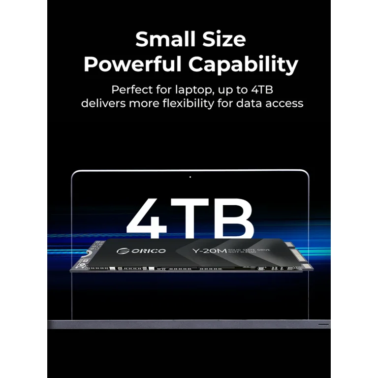 ORICO 4TB m.2 SSD 2280 SATA III 6Gb/s Internal Hard Drive SSD