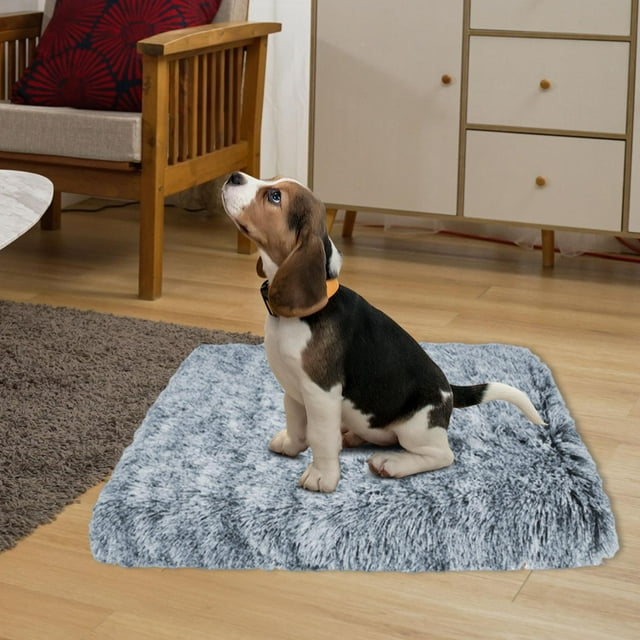 Cama para gatos, cama para mascotas, colchoneta para dormir para mascotas, almohadilla para jaula para mascotas pequeñas, gatitos, perros pequeños, XXL