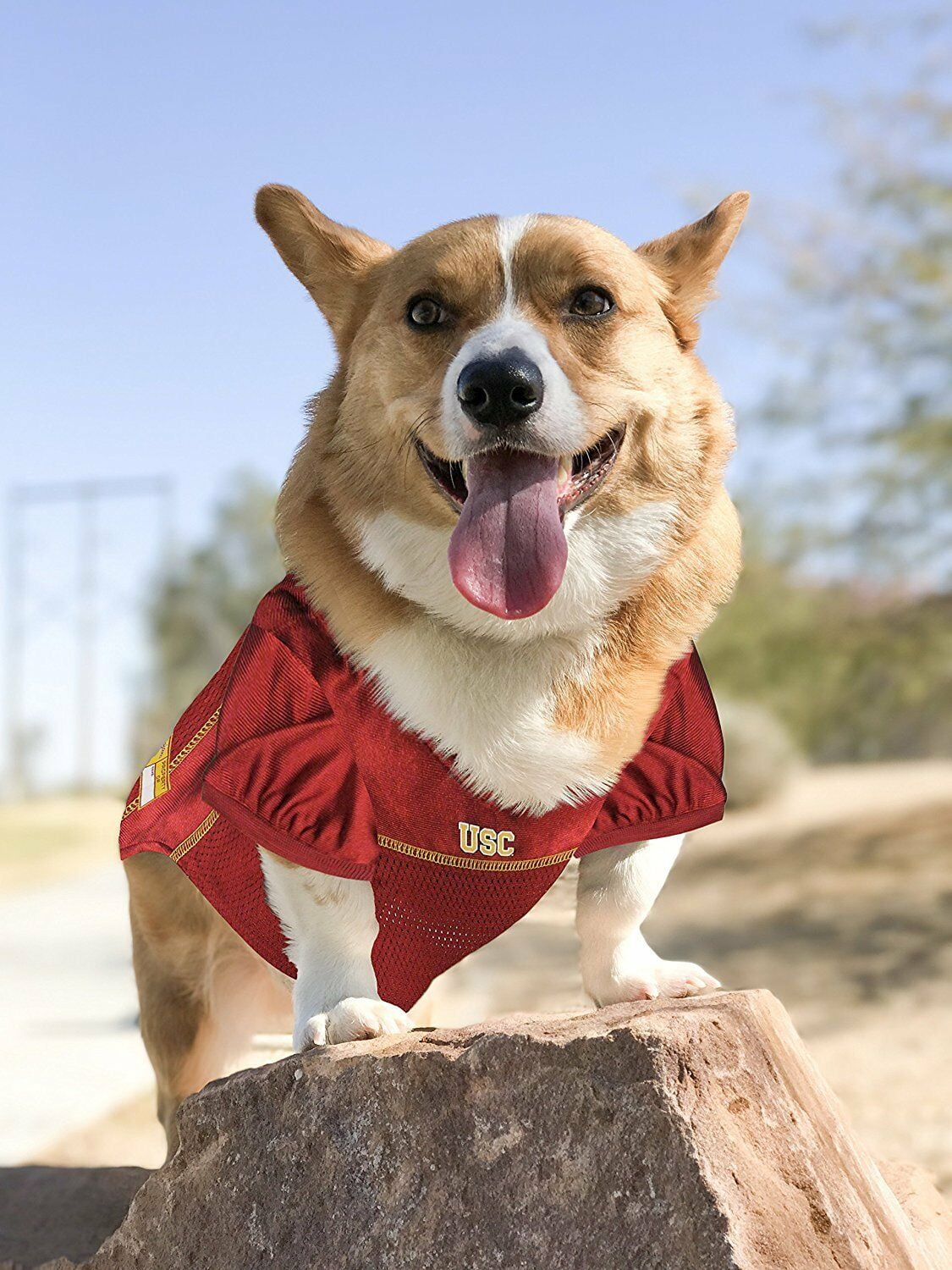Pets First NCAA Nebraska Cornhuskers Mesh Jersey for Dogs and Cats, Licensed, Extra Small