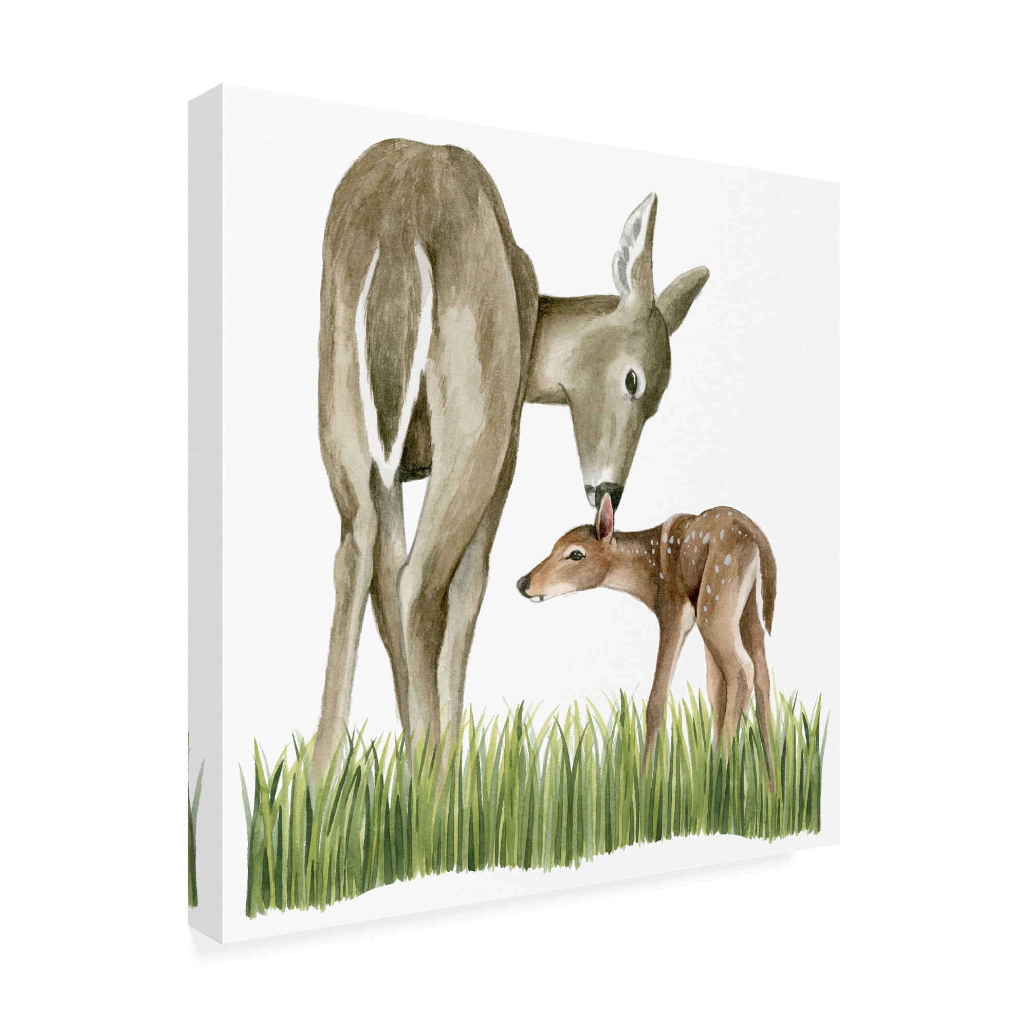 Trademark Fine Art 'Woodland Babes II' Canvas Art by Grace Popp