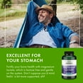 thumbnail image 6 of Swanson Magnesium Lactate - Mineral Supplement Promoting Muscle and Bone Health Support - Lactose-Free Lactate Mineral Form for Gentle Absorption - (120 Capsules, 84mg Each), 6 of 8
