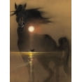 thumbnail image 1 of (11inx17in) Black Stallion Movie Small Poster 11x17 poster, 1 of 3