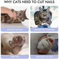 thumbnail image 4 of Cortaúñas profesional para perros y gatos con cuchilla de seguridad, cortaúñas para mascotas para belleza, salud e higiene (rojo), 4 of 5