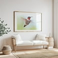 thumbnail image 4 of Ruby-Throated Hummingbird - Photography Bird Wildlife Nature Animal Scenic Woodland Insect Unframed Wall Art Print 20 x 28 inches, 4 of 7