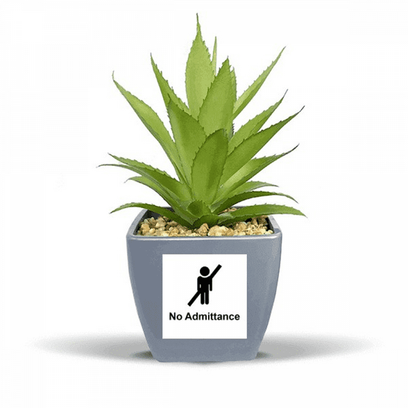 No Adttance Black Symbol Pattern Fake Pineapple Flower Pot Vase Mini Decor