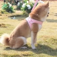 thumbnail image 5 of Dog Harness No-Pull Reflective Dogs Vest Chest Strap  Breathable Adjustable Pet Harnesses for Pet Puppy Outdoor Walking, 5 of 5
