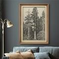 thumbnail image 2 of IDEA4WALL Premium Frame Wall Art Elegant Vintage Tree Drawing Print Classic Fine Art Nature Plants Duotone Artwork Traditional Iconic for Living Room, Bedroom, Office - 26"x36" Natural, 2 of 5