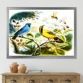 thumbnail image 3 of Designart 'Yellow and Blue Bird In The Wild' Traditional Framed Art Print, 3 of 4