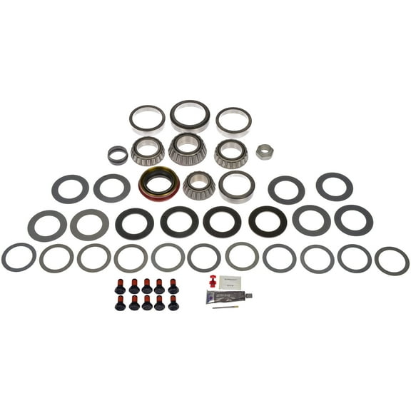 Dorman 797-100 Differential Bearing Kit for Specific Models