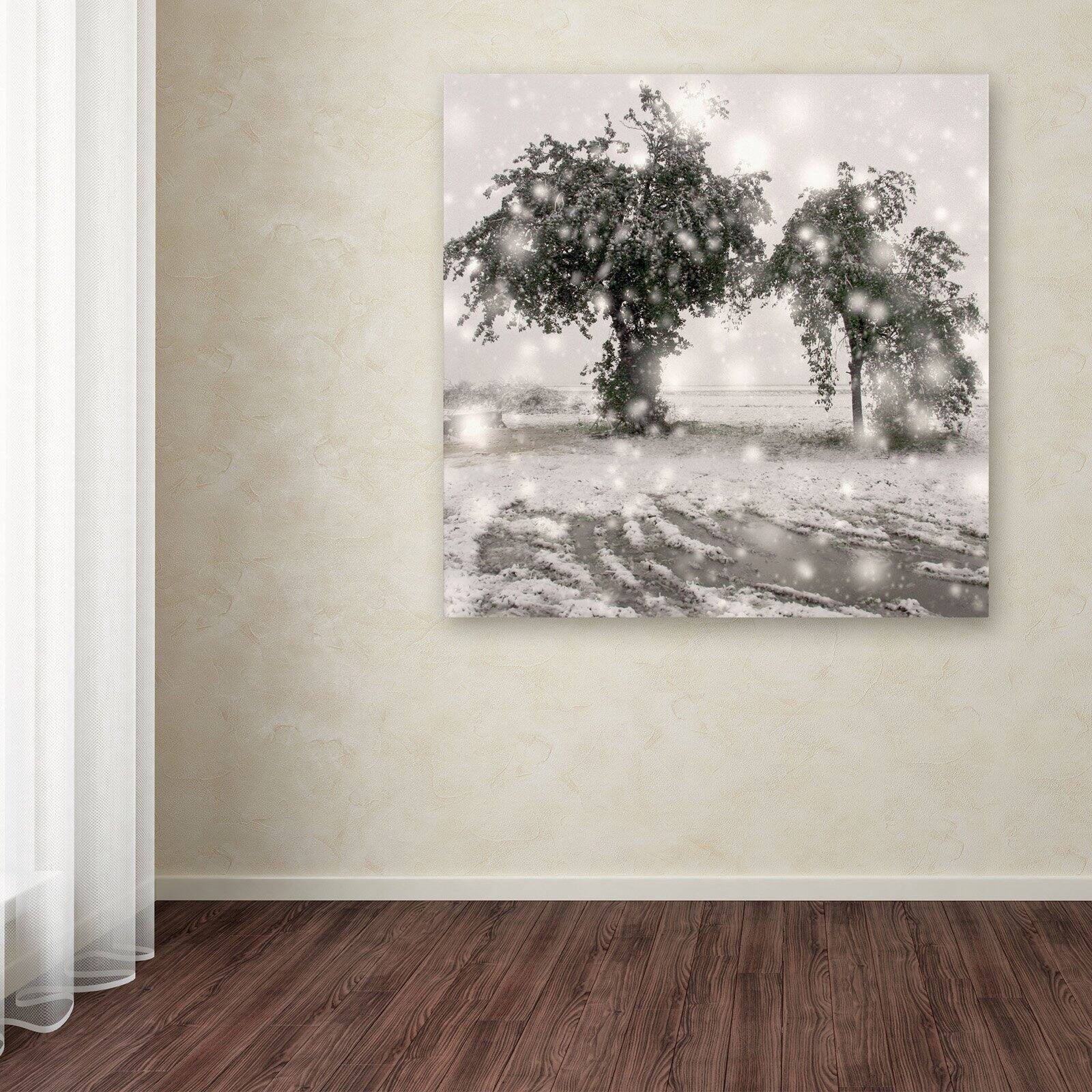 Trademark Fine Art "Winter Romance" Canvas Art by Beata Czyzowska Young