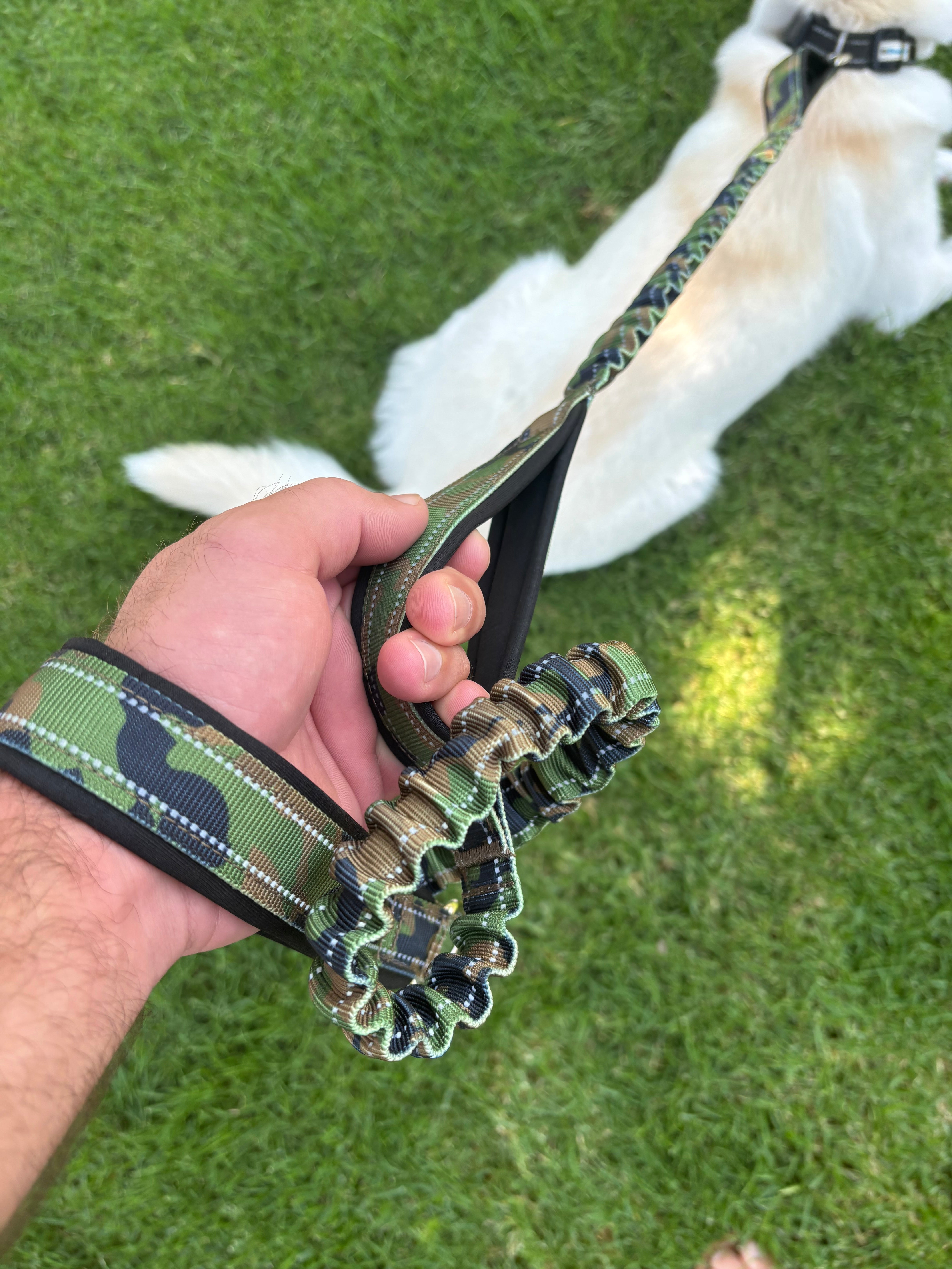 Shed Defender Shock Absorbing Bungee Leash - Three Padded Handles for Traffic Control at Different Lengths, Stretches from 4-7ft, Elastic Dog Leash, Reflective Stitching, Heavy Duty