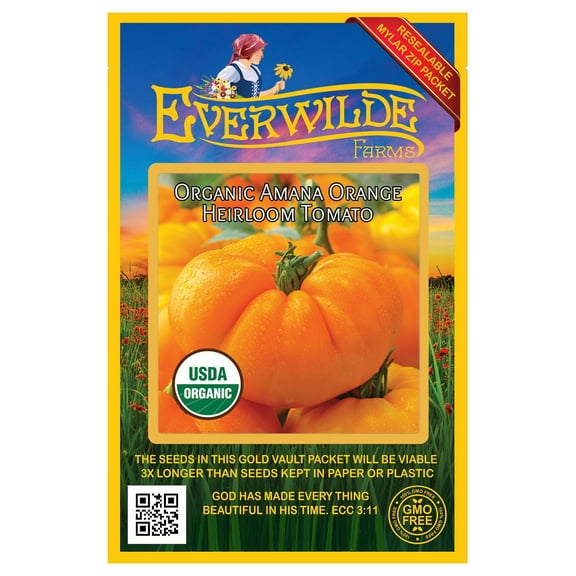 Everwilde Farms - 25 Organic Amana Orange Heirloom Tomato Seeds - Gold Vault Jumbo Bulk Seed Packet