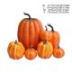 thumbnail image 3 of Halloween Decorative Pumpkin Model Realistic Looking Simulation Ornament Good For Party Decorations Display Props Spooky Season Piece 7pc, 3 of 6